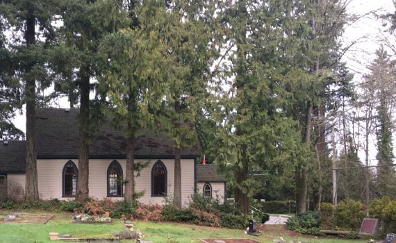foreground is grassy cemetery with various grave markers, background is very tall trees, shrubbery with a side view of the Shady Creek Church with white clapboard siding, lancet-style windows along the side of the church