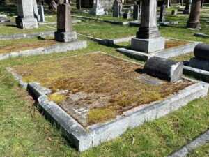 In cemetery, Large plot with stained, damaged curbing; brown, weedy, mossy grass covers the plot; stained marble head stone and flat plaque, surrounded/covered with dead grass