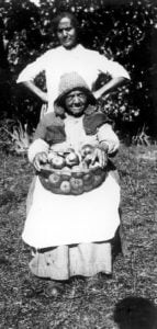 “The History of the Stark Family” is published