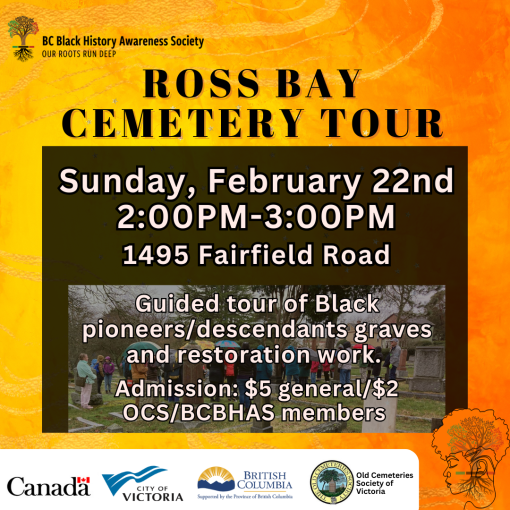 POSTER. Black lettering on background of orange, yellow, and pink pastel swirls and glitter; woman with face and hair outlined in black in lower left corner overlaid on outlined image of BCBHAS logo tree; sponsor logos arrayed along the bottom